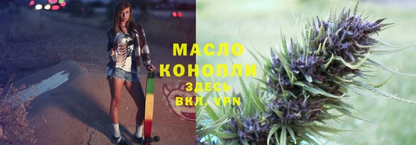 соль ск Алзамай