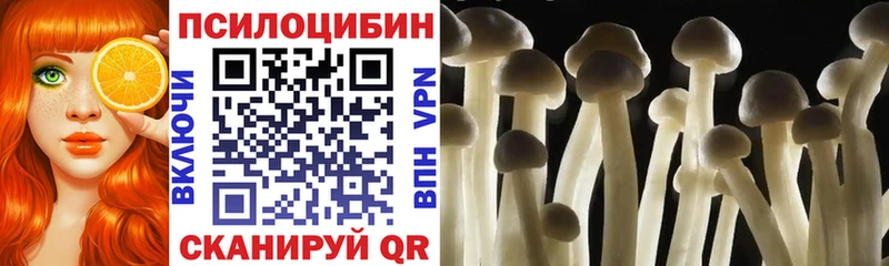 Псилоцибиновые грибы Psilocybe Перевоз